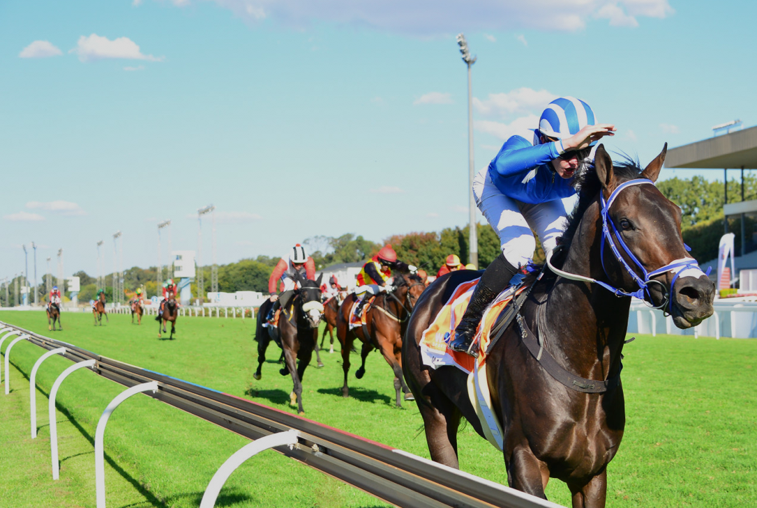4racing-transforming-the-sport-of-horse-racing